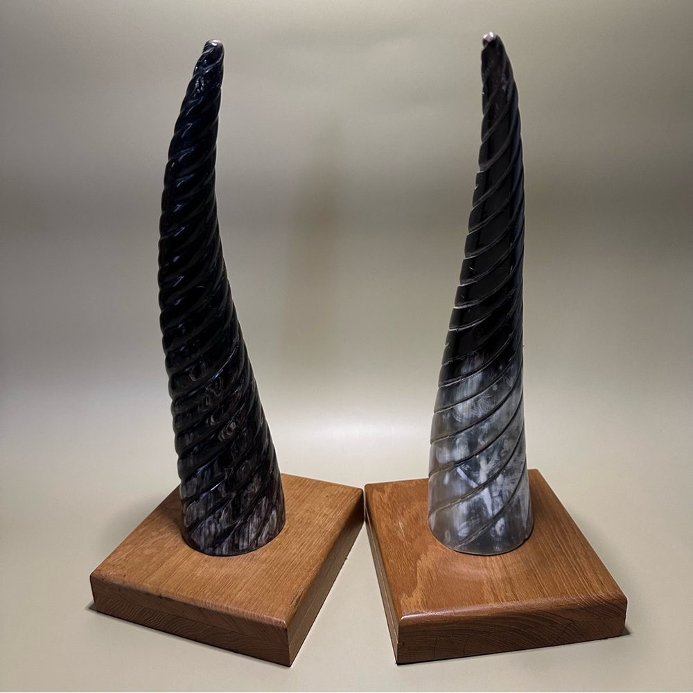 Natural Carved Horn on Wood Decor Pair